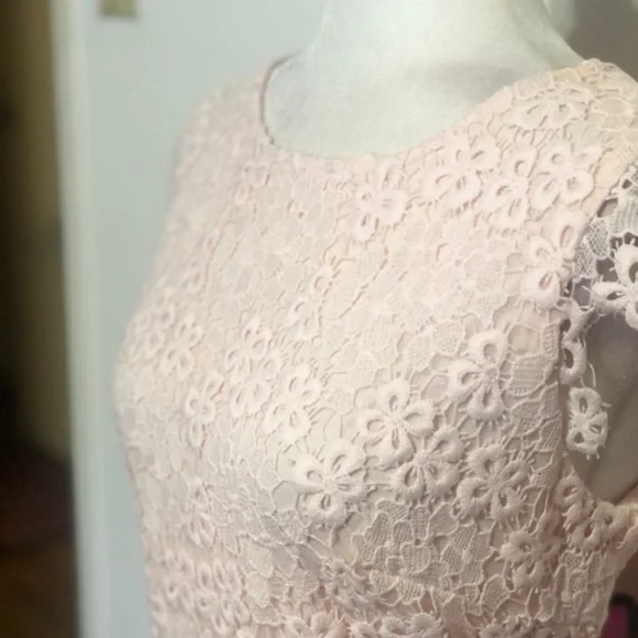 COPY - Julia Jordan Pale Pink / Coral Lace Dress - Picture 6 of 9